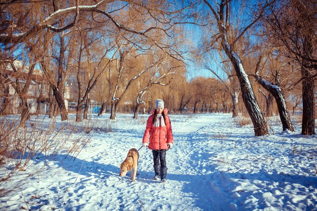 Dziewczyna spacerująca ze swoim żółtym labradorem retrieverem w zimowym krajobrazie