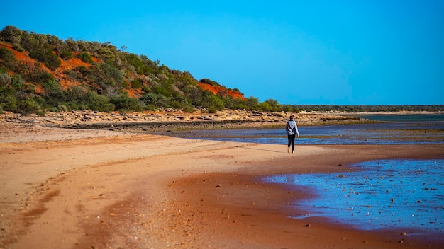 dziewczyna spaceruje po czerwonej, piaszczystej plaży z czerwonymi klifami w tle, terra rosa w australii