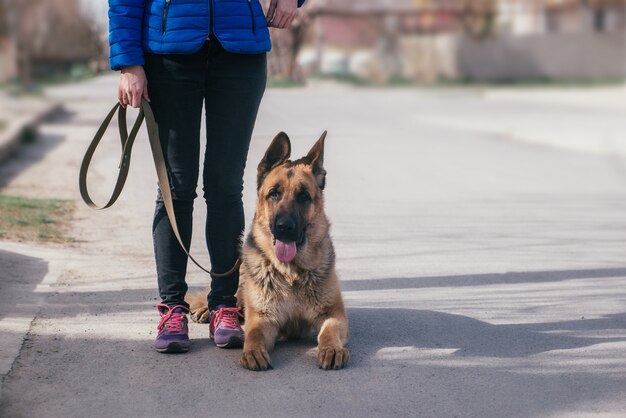 Zdjęcie dziewczyna spaceruje z psem po ulicy. wypoczynek ze zwierzęciem podczas kwarantanny. spaceruj z pasterzem niemieckim po mieście na świeżym powietrzu. skopiuj miejsce
