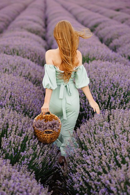 Dziewczyna stoi na polu lawendy i trzyma w rękach koszyk pełen kwiatów lawendy