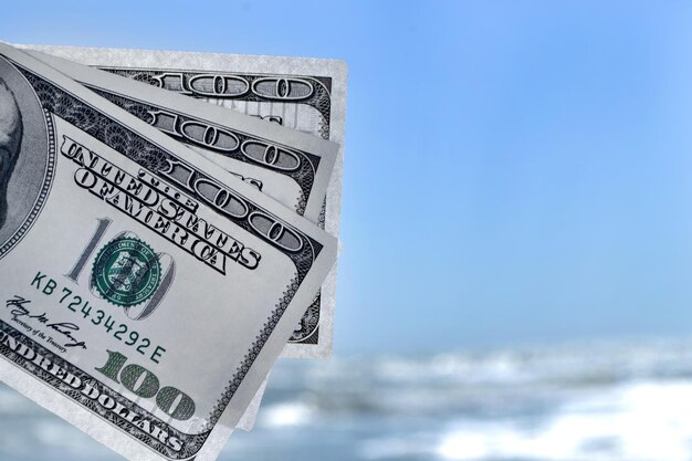 Dziewczyna Trzyma Banknot 300 Dolarów Na Tle Oceanu Morskiego
