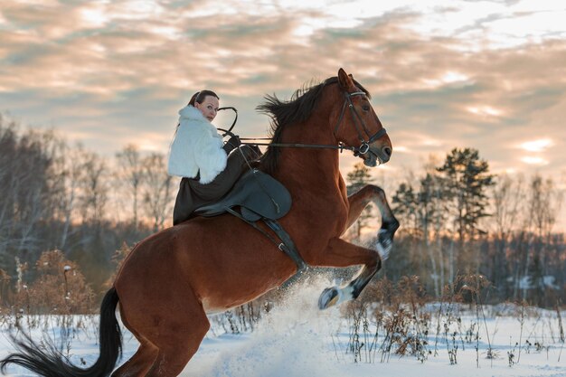 Dziewczyna W Białym Płaszczu Jeździ Na Brązowym Koniu W Zimie Złota Godzina Zachodzącego Słońca