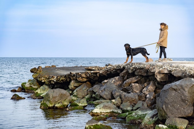 Dziewczyna w kurtce spaceruje brzegiem morza z psem Rottweilera