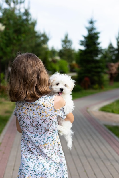 Dziewczyna w letniej sukience trzyma w ramionach maltańskiego lapdoga w parku