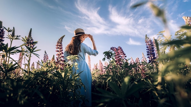 Dziewczyna w niebieskiej sukience na fioletowym polu łubinów Łąka z fioletowymi kwiatami latem