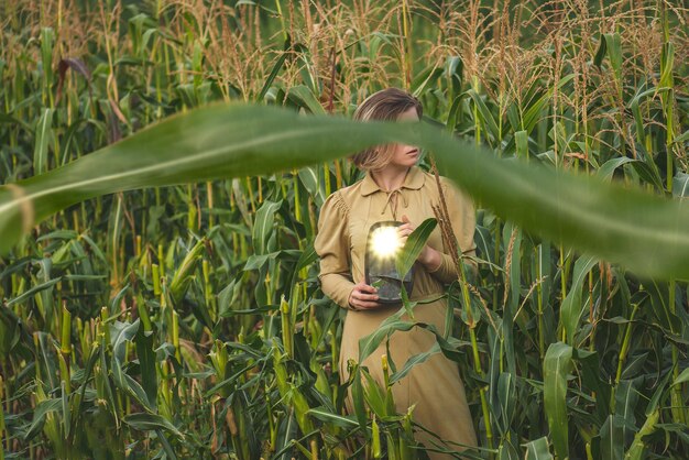 Dziewczyna w złotach sukienkach na zielonej plantacji kukurydzy