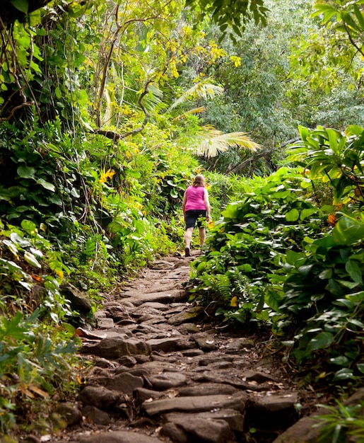 Dziewczyna wędrująca szlakiem Kalalau w Kauai