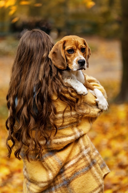 Dziewczyna z długimi włosami trzyma w ramionach psa rasy beagle. Jesienne tło.