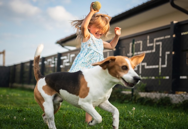 Dziewczynka biegająca z psem beagle na podwórku w letni dzień zwierzę domowe z dziećmi koncepcja