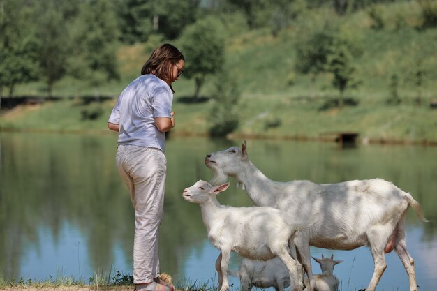 Dziewczynka karmi i bawi się z kozami na farmie