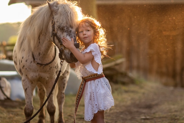Zdjęcie dziewczyny odprowadzenie przy zmierzchem w polu z koniem