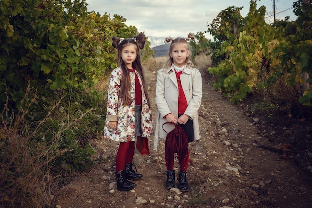 Dziewczyny we wrześniu zbierają winnice, zbierają wybrane kiście winogron we Włoszech na wielkie zbiory. biologiczny identyfikator koncepcji, żywność ekologiczna i wyśmienite wino ręcznie robione