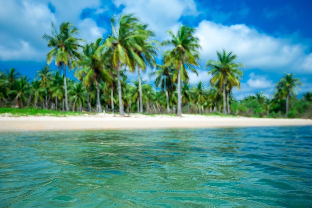 Dziewicza tropikalna plaża na Sri Lance