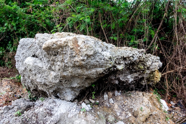 Dzika, autentyczna natura skały