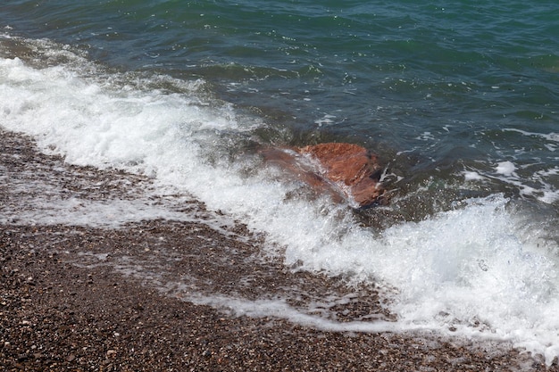 Dzika plaża nad brzegiem morza Wielka fala Duży kamień pod wodą