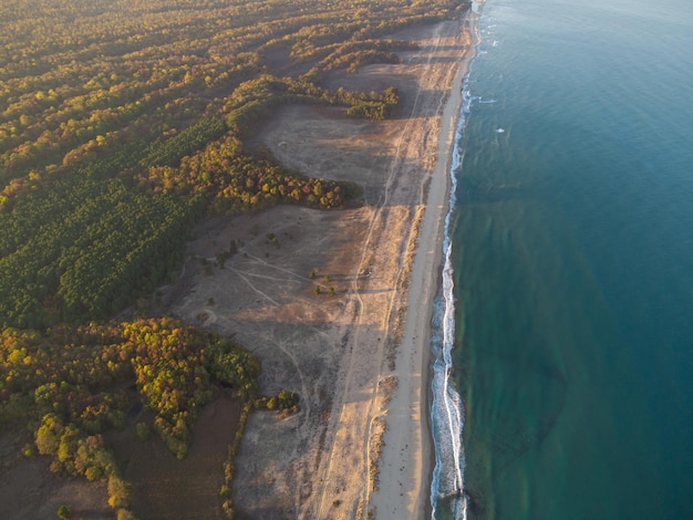 Dzika plaża z piaskiem i lasem w Bułgarii z lotu ptaka