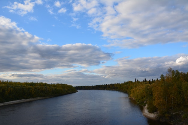 Dzika przyroda Arktyki. Jesienny krajobraz. Jamalsko-Nieniecki Okręg Autonomiczny.