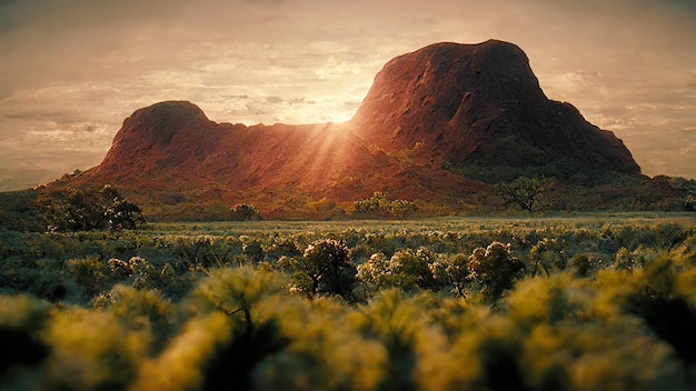 Dzika Przyroda Australii Krajobraz O Zachodzie Słońca Scenery Art Illustration