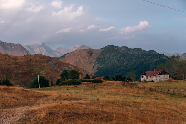 dzika przyroda rzeka góra fotografia górska