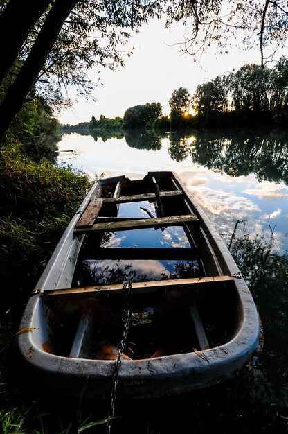 Zdjęcie dzika rzeka brenta