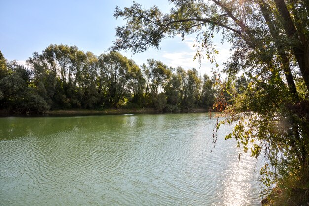 Dzika rzeka Brenta