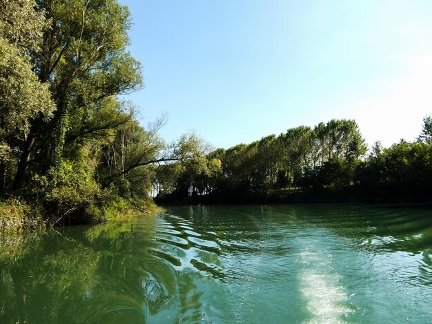 Dzika rzeka Brenta