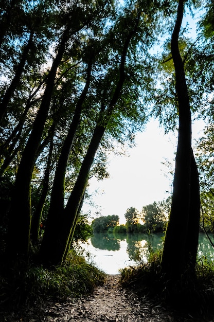 Dzika Rzeka Brenta