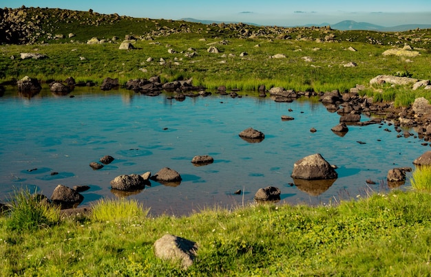 Dzika trawa nad stawem na wyżynie w Artvin