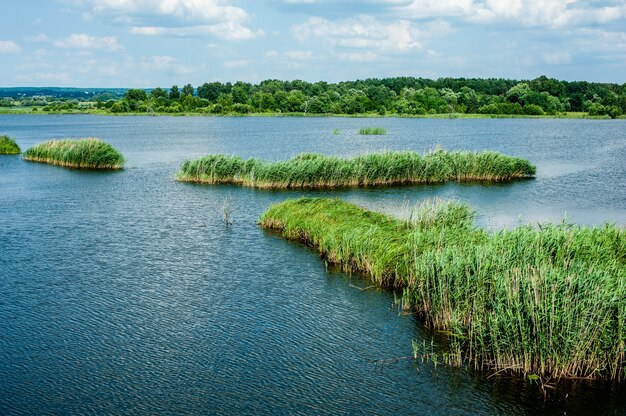 Dzikie Jezioro Latem Błękitne Niebo I Chmury