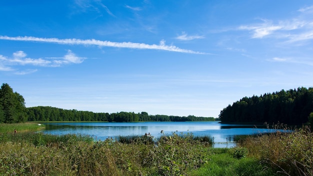 Dzikie Jezioro Leśne