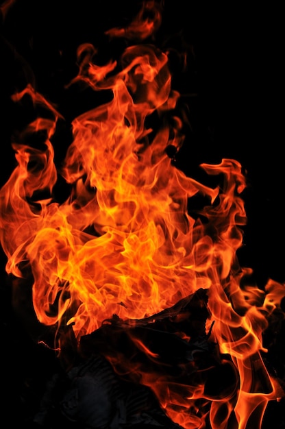 dzikie płomienie ognia palą się gorąco z czarnym tłem