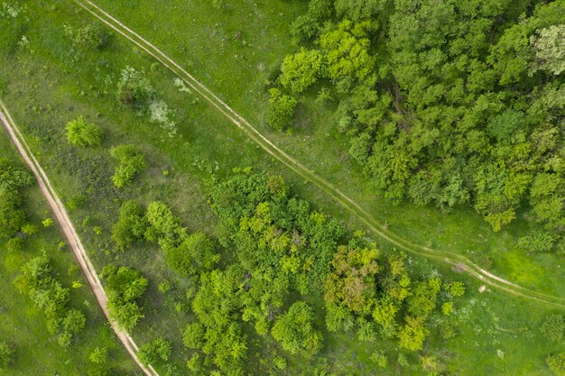 dzikie pole widok z góry strzelanie z dronów w tle