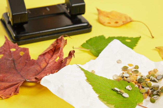 Dziurkacz i jesienne liście na żółtym tle, eko konfetti z naturalnych materiałów