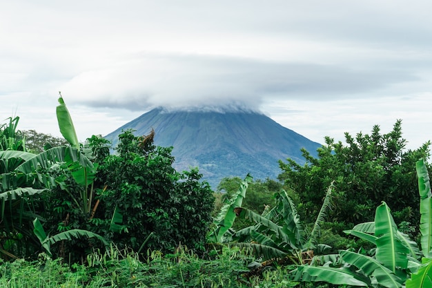 Dżungla i wulkan na wyspie ometepe, nikaragua