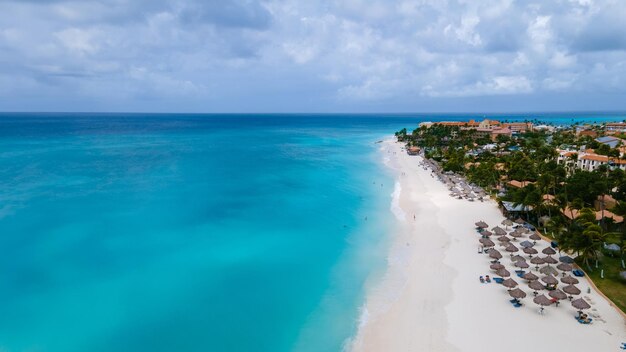 Eagle Beach Aruba Palmy na wybrzeżu Eagle Beach na Arubie