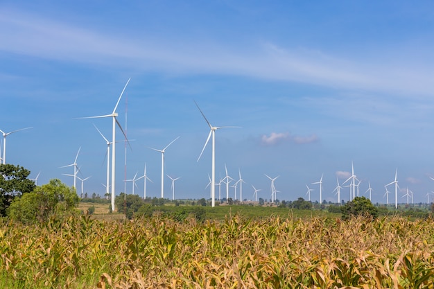 Eco power, Turbina wiatrowa na zielonej trawie i pole kukurydzy nad niebieskim pochmurne niebo