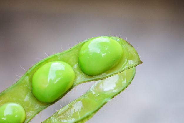 Edamame