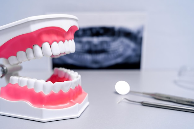 Edukacyjny model zębów i lusterko dentystyczne Xray w tle