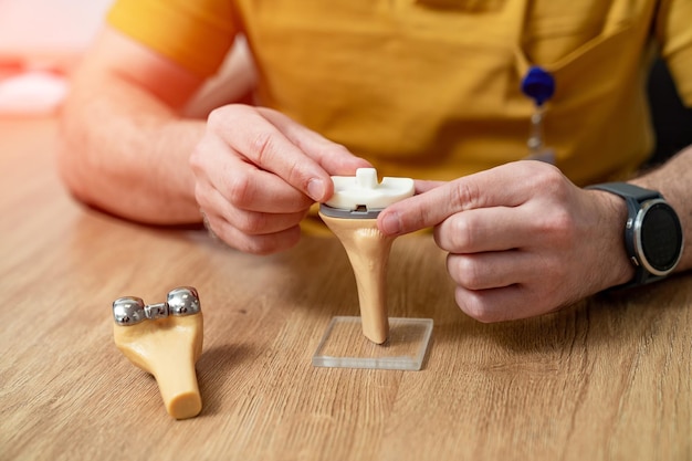 Edukacyjny plastikowy model medyczny w rękach Specjalista trzymający modelową część ludzkiego ciała