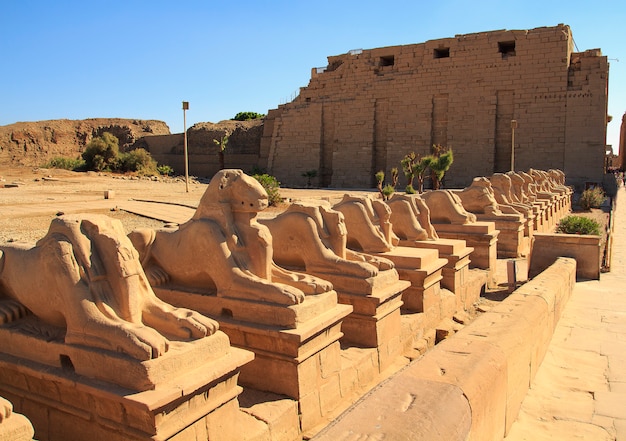 Egipt, faraonowie, kompleks świątynny Karnak. Luxor.