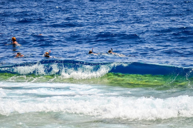 EGYPT SHARM EL SHEIKH Goście podczas nurkowania z rurką w morzu podczas surfowania