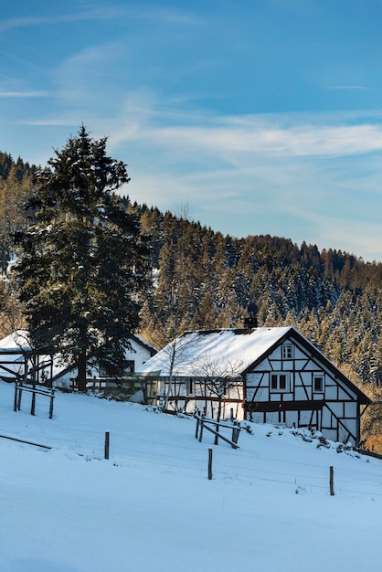 Zdjęcie eifel zimowy krajobraz niemcy