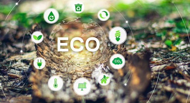 Ekologia Zielona technologia Koncepcja zielonej technologii Koncepcja technologii ochrony środowiska