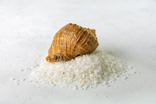 Ekologiczna sól morska uzdrowiskowa wsypana do stosu i muszli z morza