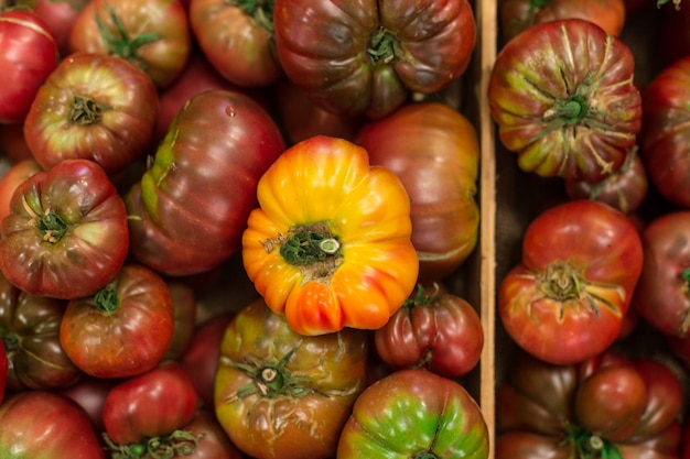 Ekologiczne pomidory z góry na rynku w Antibes we Francji