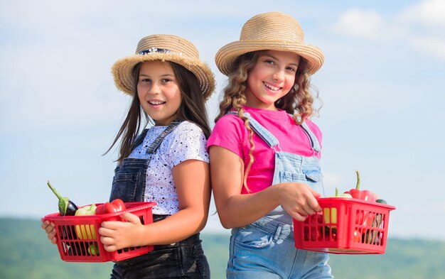 Ekologiczne Warzywa Dziewczynki Urocze Dzieci W Kapeluszach Rolnictwo Dzieci Zbierające Warzywa W Koszyku Wiejski Styl Wiejski Rynek Warzywny Sprzedawanie Rodzimej Koncepcji żywności Naturalne Odżywianie Witaminami