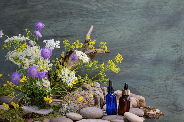 Zdjęcie ekologiczny bukiet niebieska butelka z pipetą brązowa butelka z pipetą zaprawa farmakologiczna dzikie kwiaty bukiet ptak pióro rzeka kamienie martwa natura