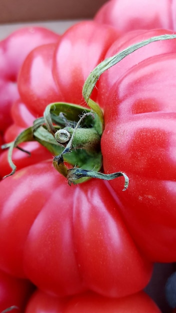 Zdjęcie ekstremalne zbliżenie pomidora