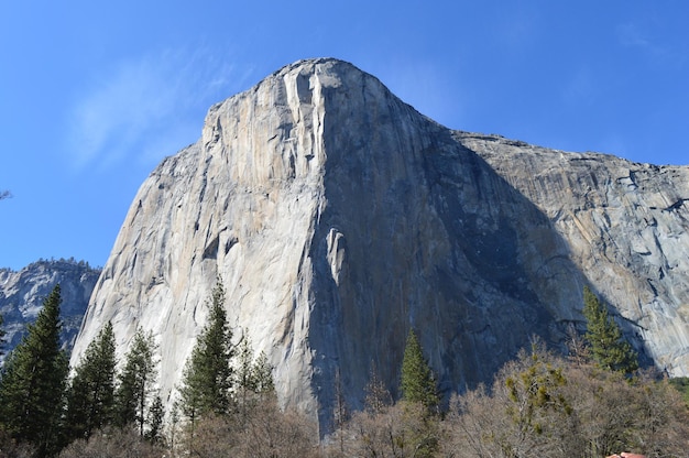 Zdjęcie el capitan yosemite