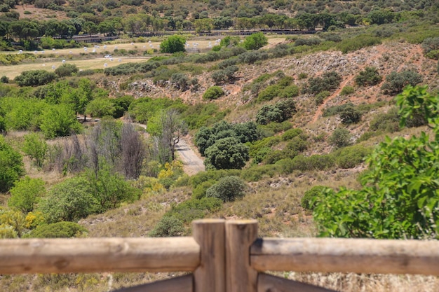 El castillo de Pearroya en Argamasilla de Alba provincia de Ciudad Real Castilla la Mancha